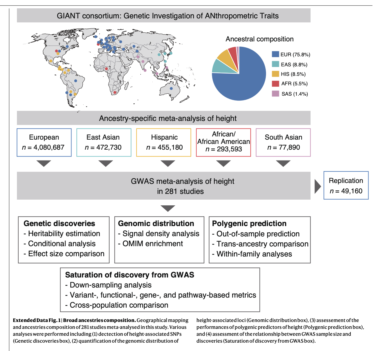 Graphical Abstract
