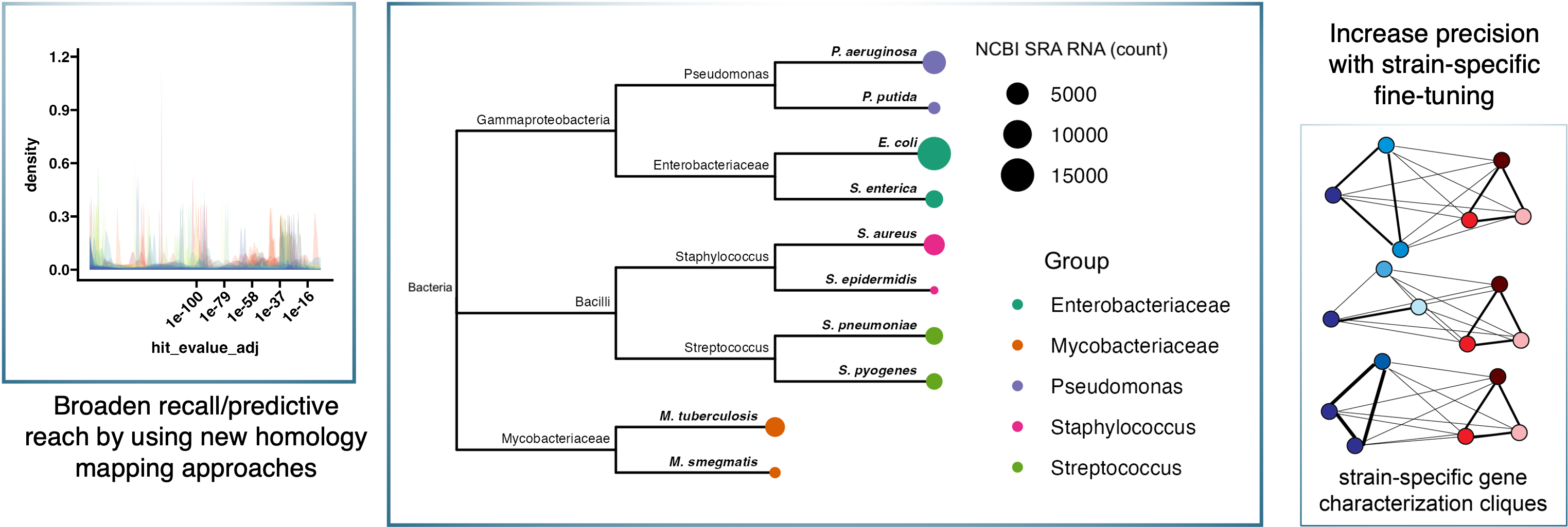 (/images/phylo-learning.png)