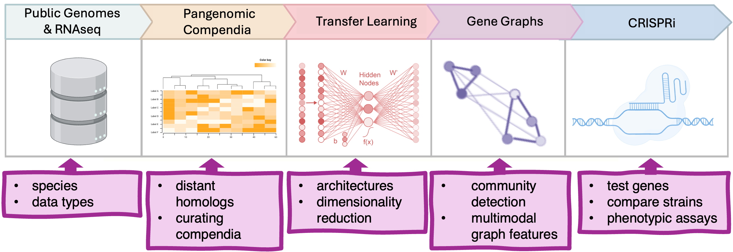 (/images/workflow.png)